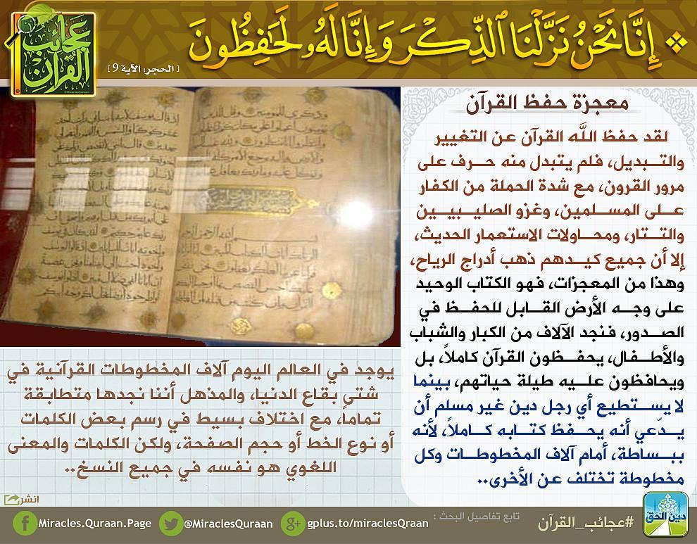 ربما تحتوي الصورة على: ‏‏نص‏‏