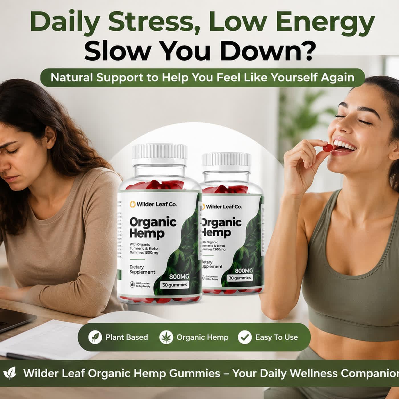 ngrinder - WilderLeaf Organic Hemp Gummies Official Review: My Honest Opinion, Results, and Benefits