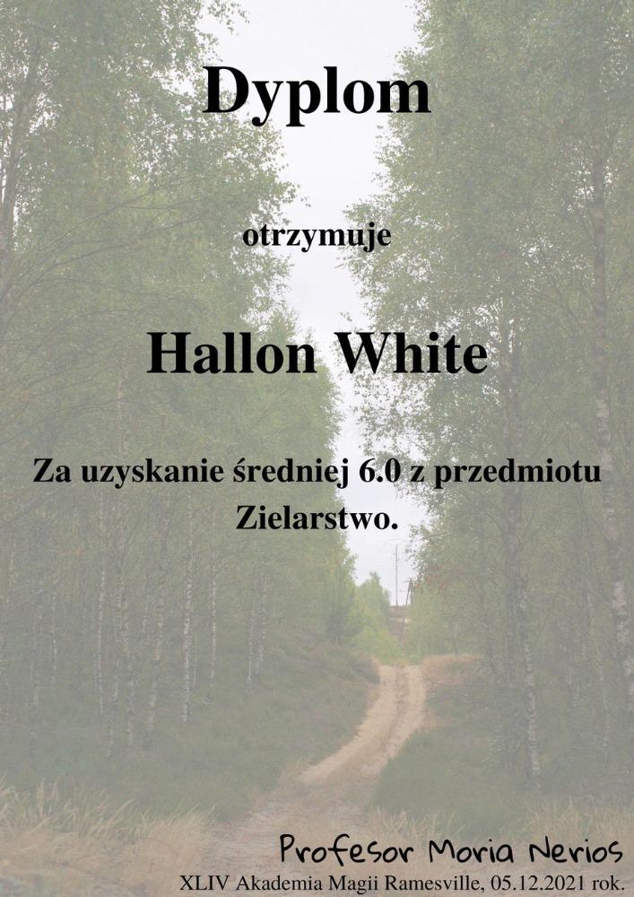 hallon.jpg