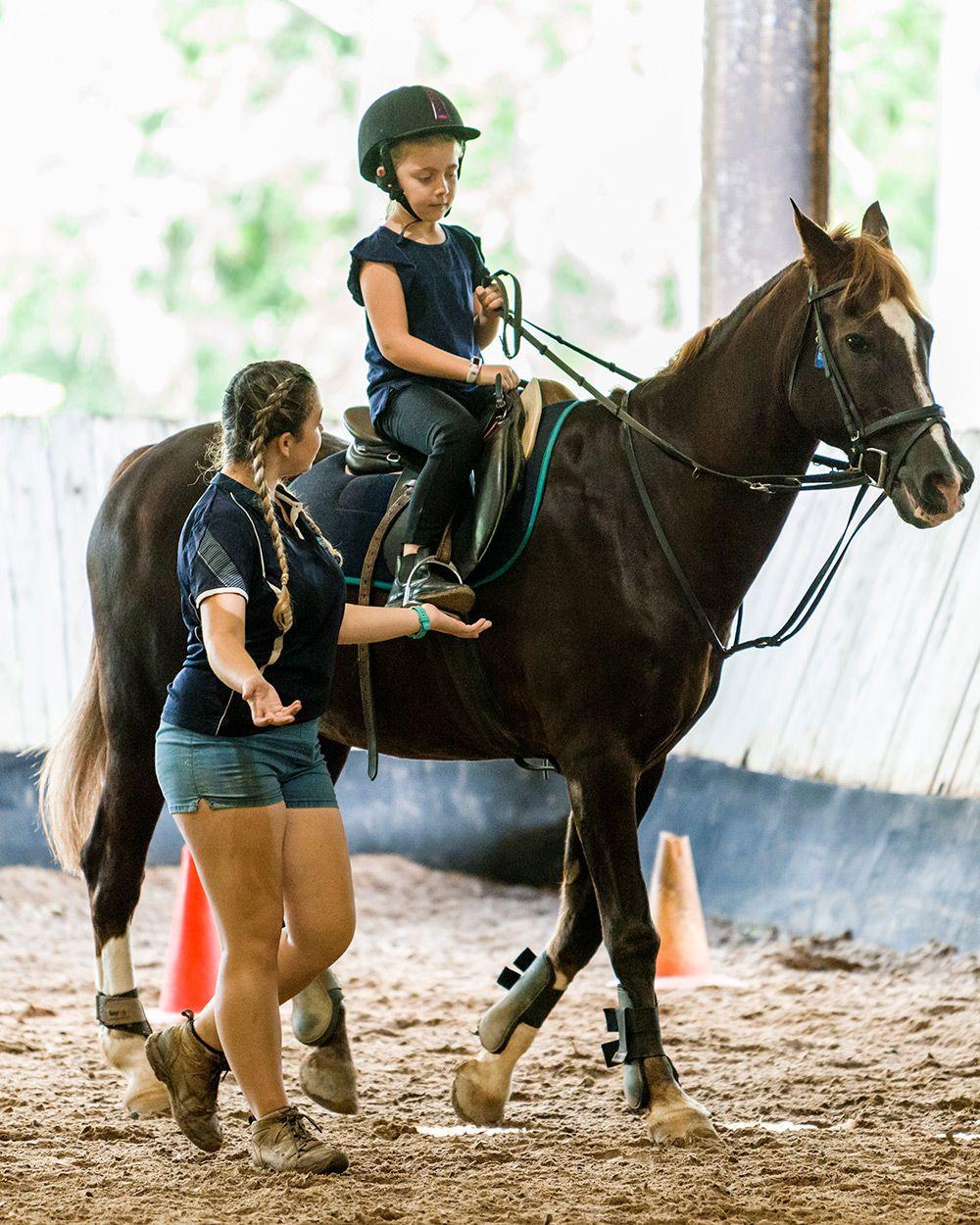 beginner horse riding lessons
