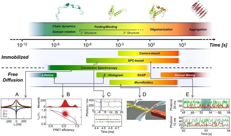 FRET-based dynamic structural biology: Challenges, perspectives and an appeal for open-science practices | eLife