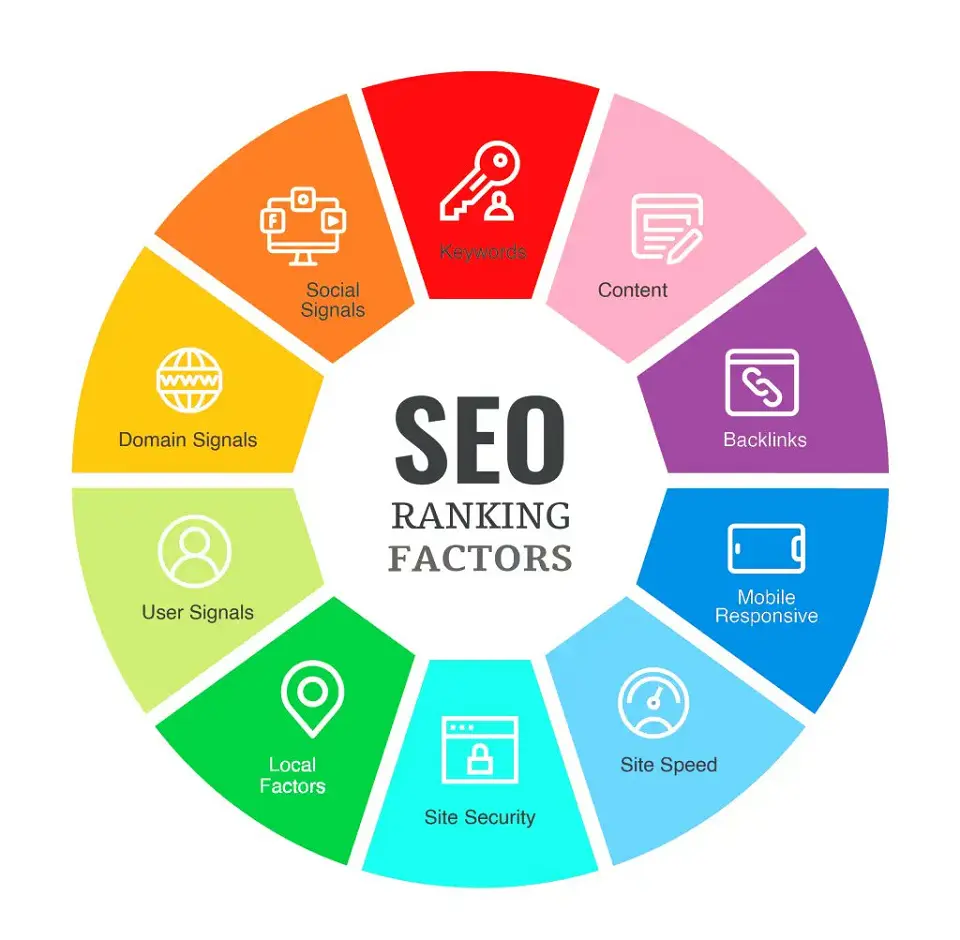 SEO expert