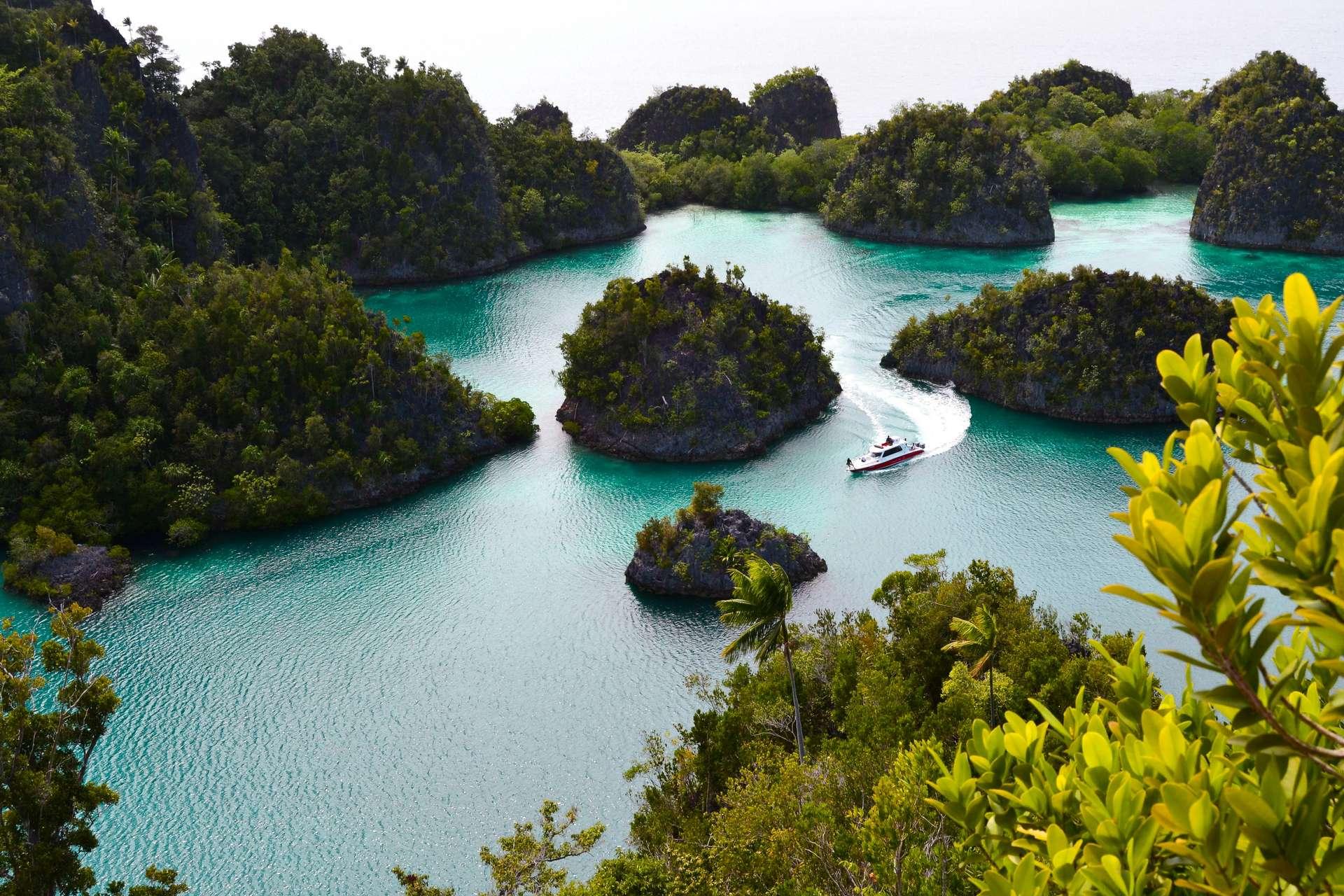 Raja Ampat is a "Piece of Heaven" in Indonesia and a Perfect Destination to Dive and Enjoy Marine Life All in One Place