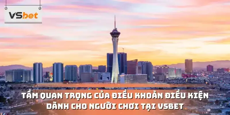 Tầm quan trọng của điều khoản điều kiện dành cho người chơi tại VSBET