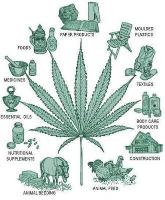 cannabis-industrial