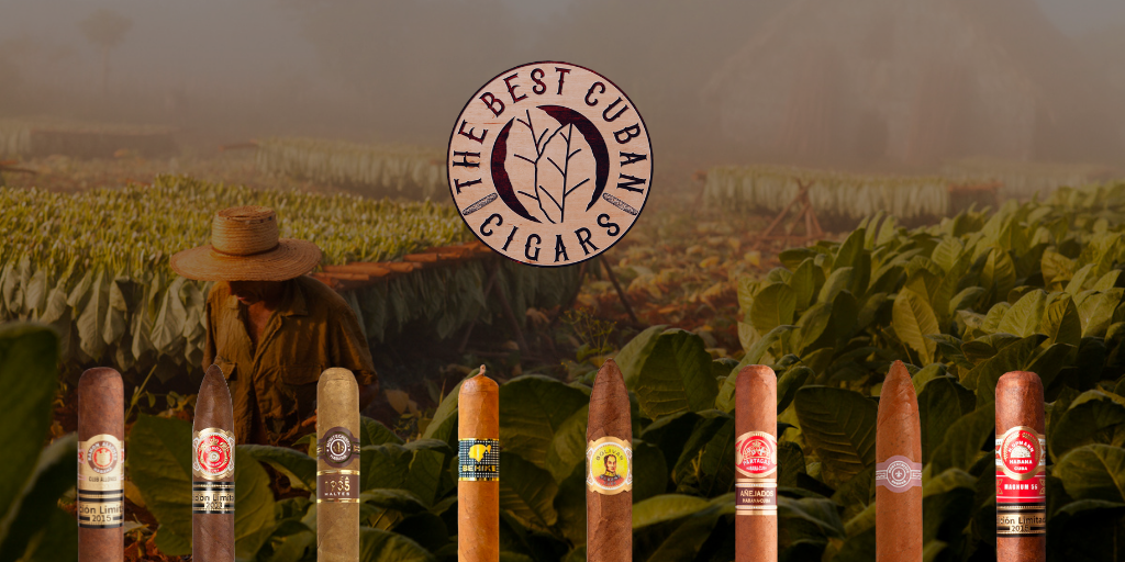 Where to buy Cuban Cigars