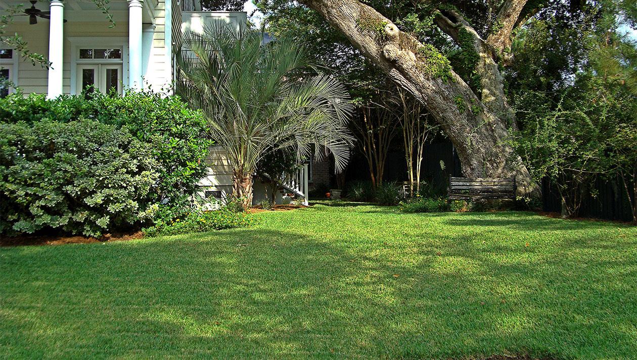Sod Solutions sells St. Augustine grass. For more information and prices, see Sod Solutions.