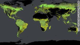 Densité globale des arbres, calculée par l'équipe de Crowther.  Les forêts existantes sont indiquées en vert, les forêts potentielles sont en jaune.