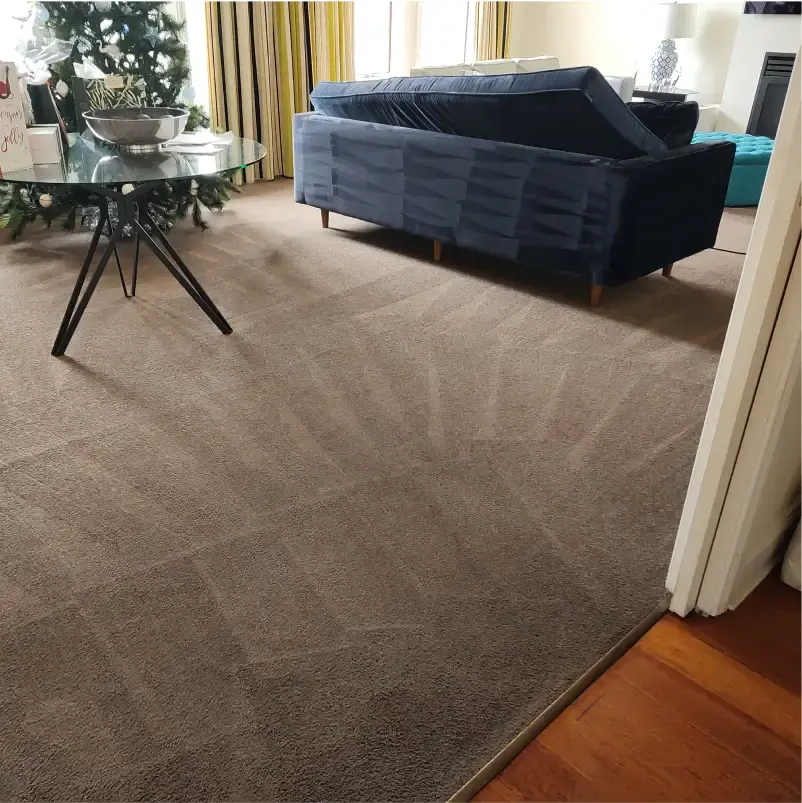 Freshly cleaned carpet with perfect vacuum lines, showcasing professional Commercial Carpet Cleaning Adelaide by Platinum Clean Adelaide.