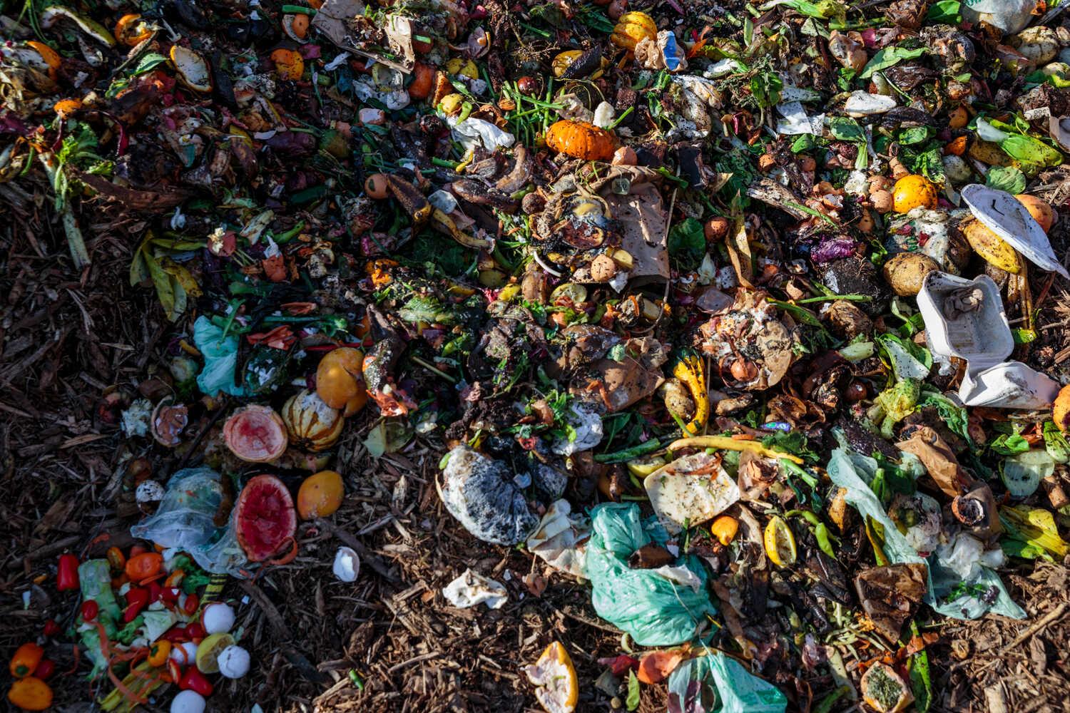 An up-close shot of multicolored food scraps at a compost yard.