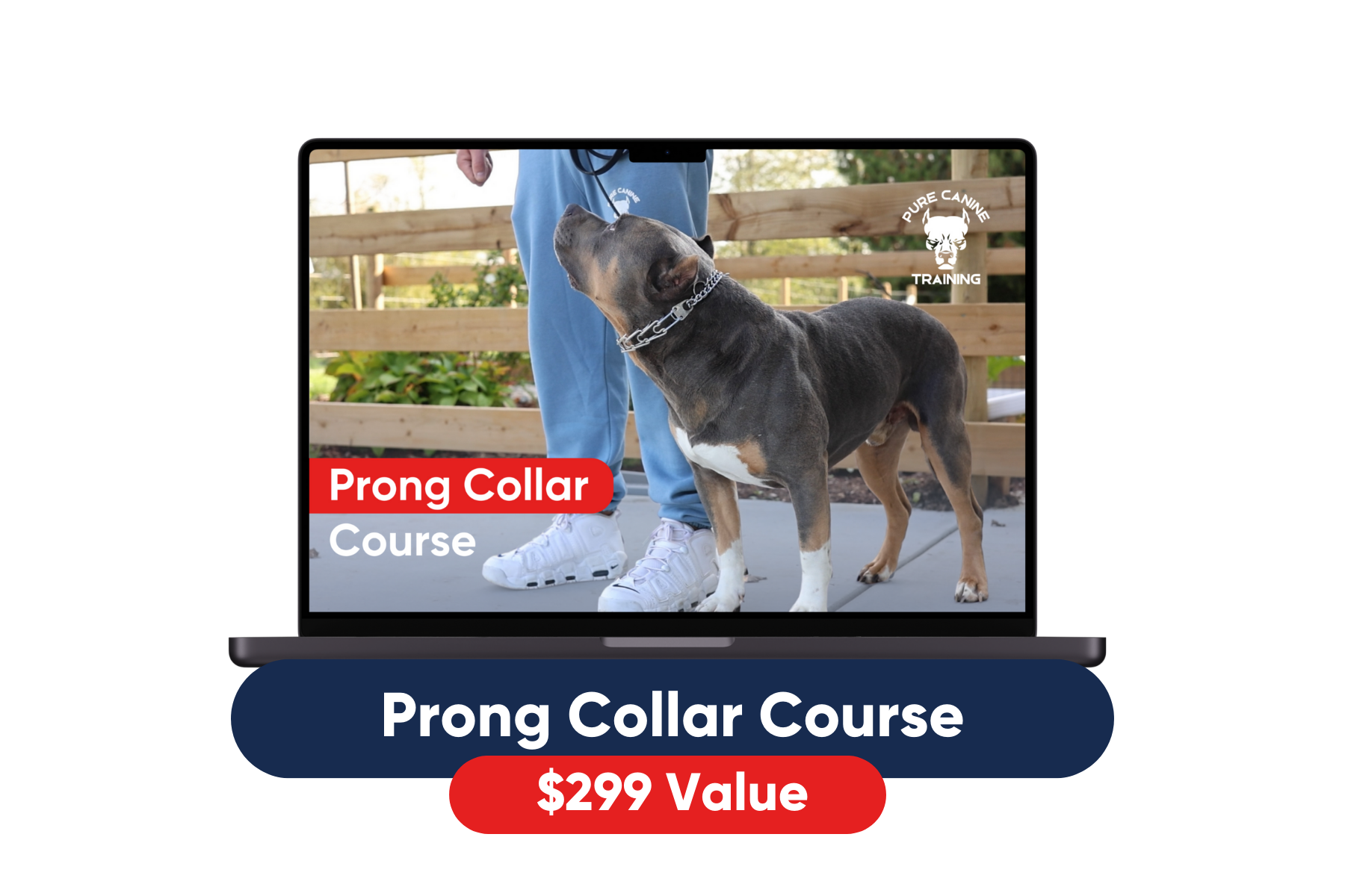 dog behavior tools