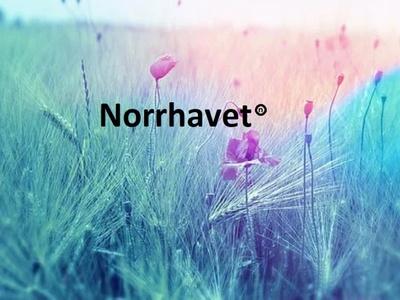 Webbutvecklare Sweden