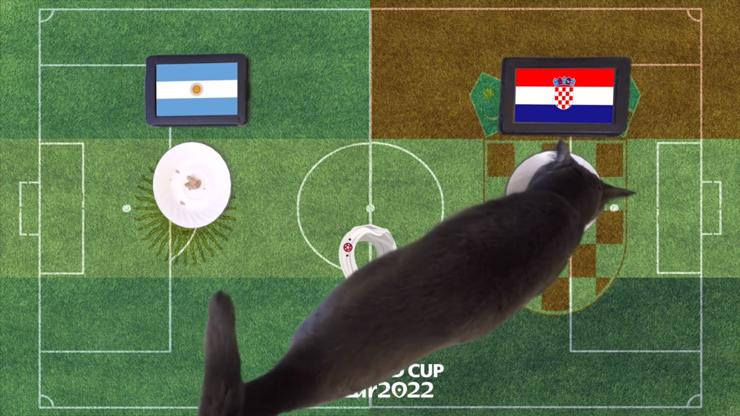 Bán kết World Cup: Mèo tiên tri chọn Croatia, đại bàng Romeo đặt cửa Argentina - 1