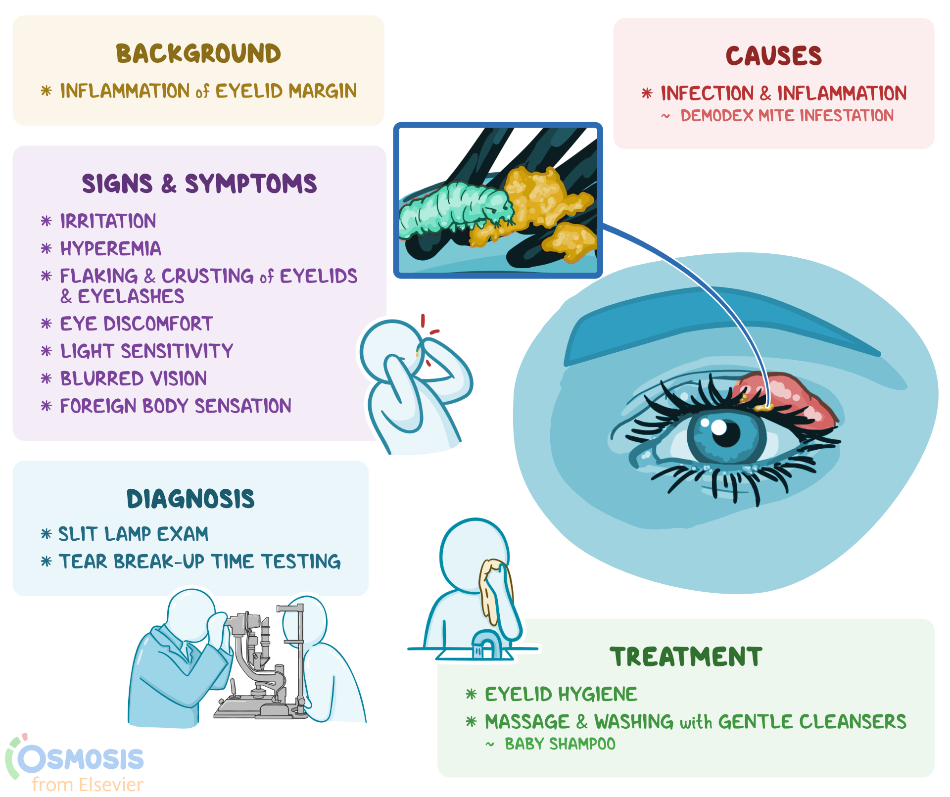 eyelid hsv blepharitis