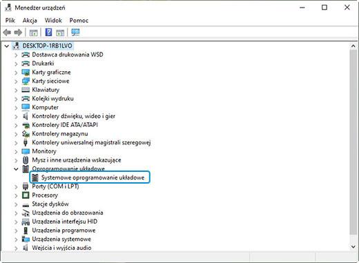Przykład komponentu w Menedżerze urządzeń