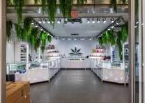 8,500+ Marijuana Dispensary Stock Photos and Royalty-Free ...