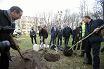 Akcja sadzenia drzew w Szczecinie - miniatura