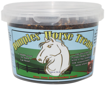 horse treats
