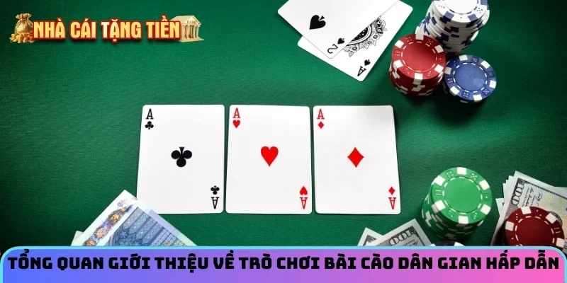 T?ng quan gi?i thi?u v? tr&ograve; ch?i B&agrave;i C&agrave;o d&acirc;n gian h?p d?n