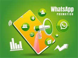 Bulk WhatsApp Service Provider | Bulk ...