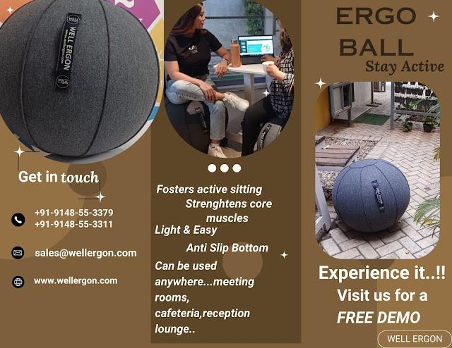 Ergo Ball | Lounge Chair