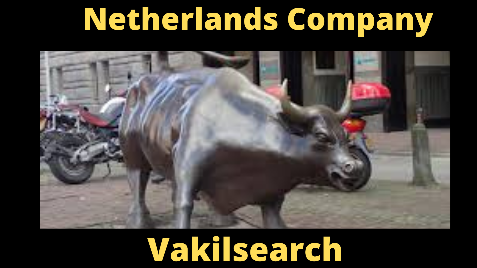 Register a company in Netherlands
