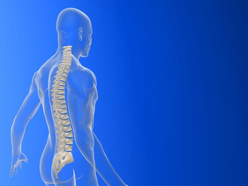 Chiropractor Rouse Hill