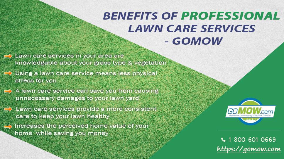 Best Lawn Care Orem Utah