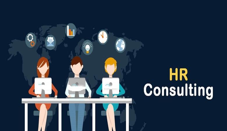 HR Consultants | Reasons to Hire an HR Consultant | HR Options