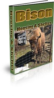 bison housing