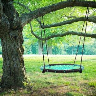 a tree swing