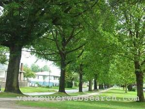 yellow pages residential directory uk
