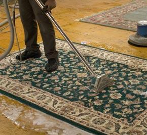 carpet cleaners ipswich queensland
