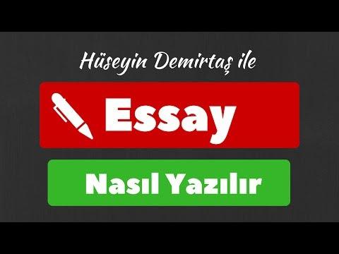 english essay writing service