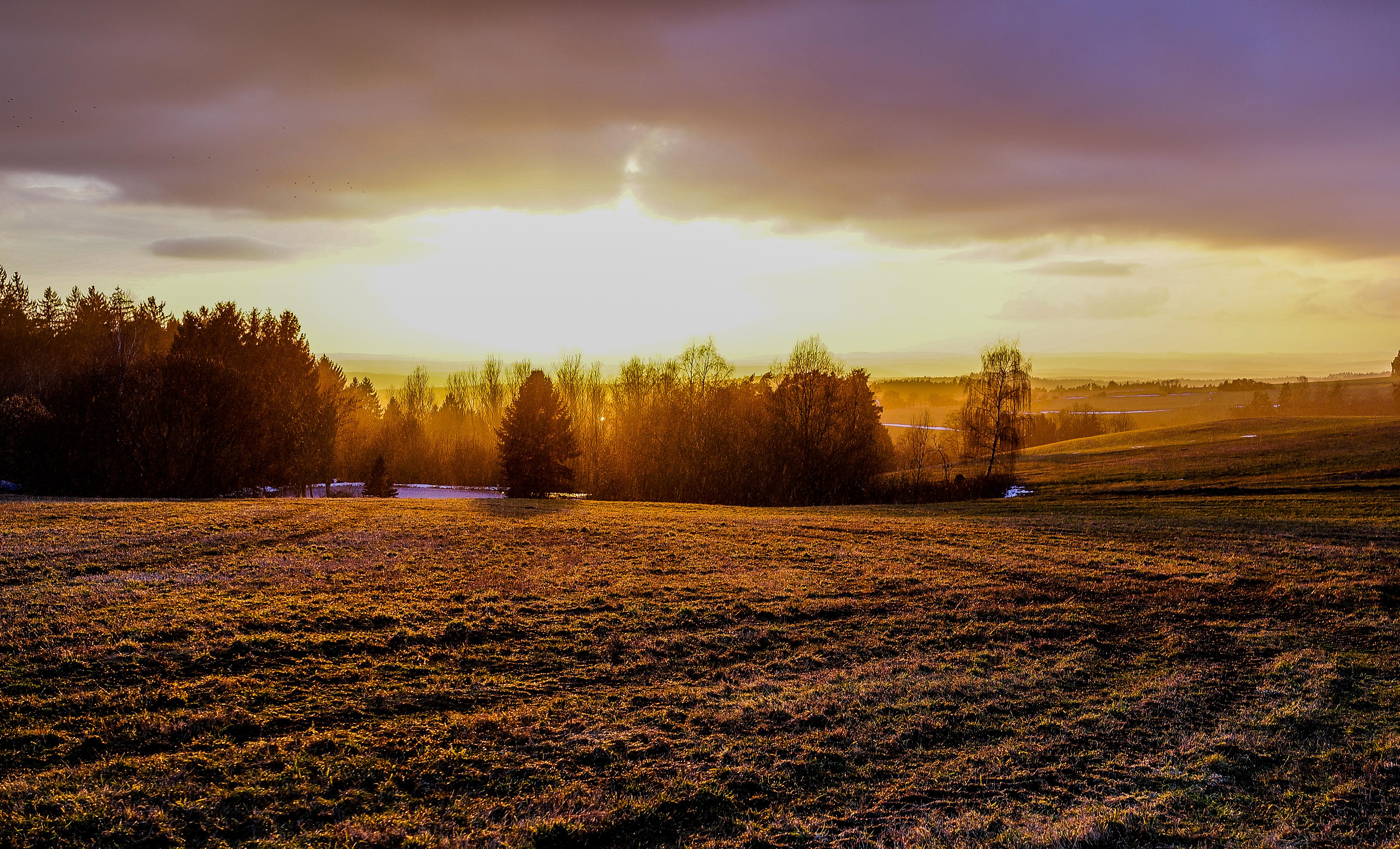 Wecker Testsieger 2016