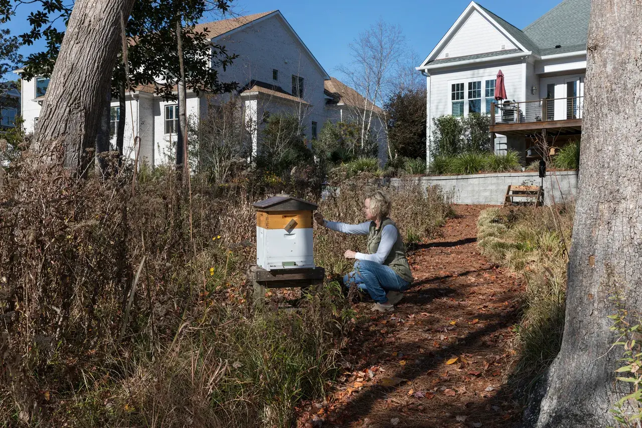 Amy Lindberg kneels near a beehive in her backyard