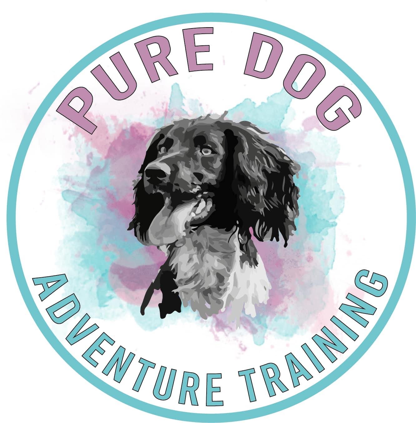 best dog training tools