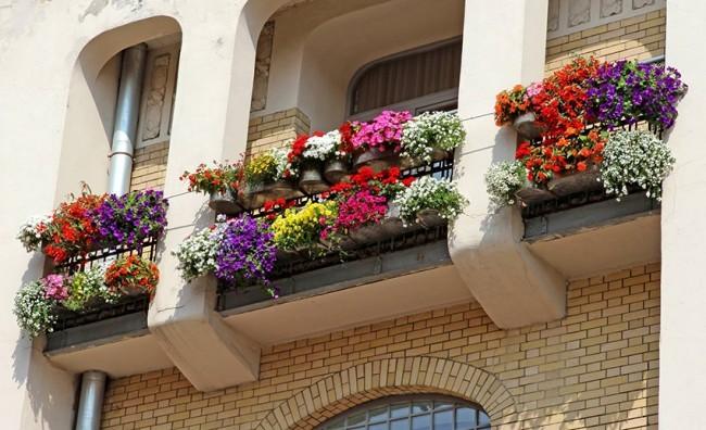 kwietniki-balkon-kwiaty_small.jpg