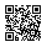 Zhu Yuanzhang and Early Ming Legislation QR code for Zhu Yuanzhang and Early Ming Legislation