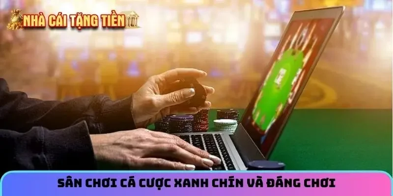 Sân chơi cá cược xanh chín và đáng chơi