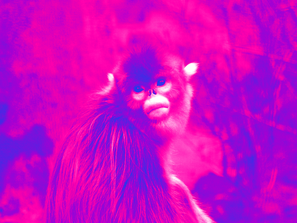 1jan.png