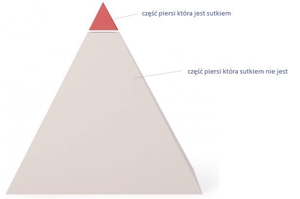 f0e545785d2eab6ac2bbaa902e858c18.jpg