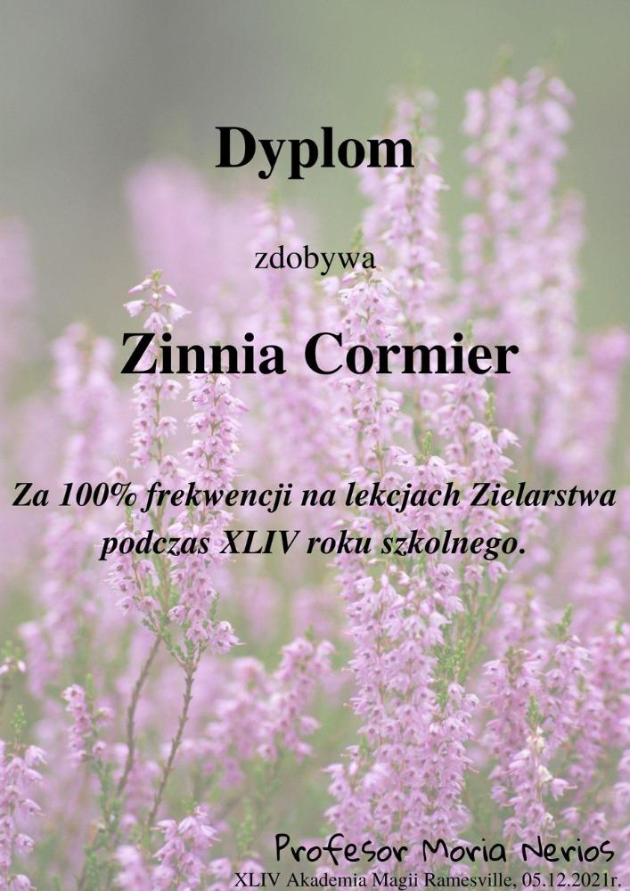 zinnia.jpg