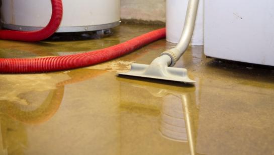 best_water_damage_companies.jpg