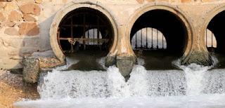 Rooter service long beach ca