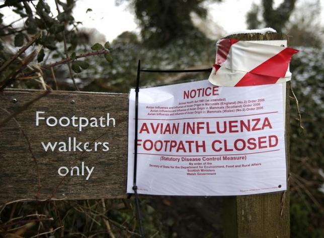 A sign at the edge of an exclusion zone warns of the closure of a footpath after an outbreak of bird flu in the village of Upham in southern England February 3, 2015.  REUTERS/Peter Nicholls