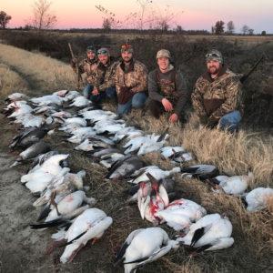 Duck Hunting Arkansas