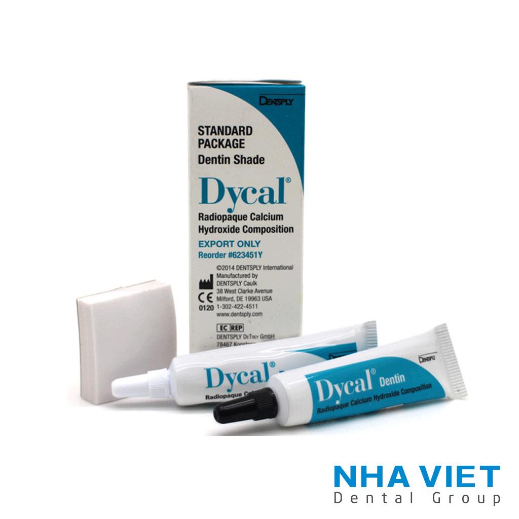 Che tuy Dycal - Dentsply