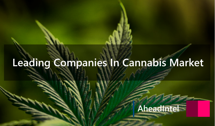 cannabis leading company updated_699_411.png