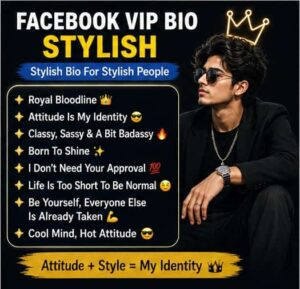 Facebook VIP Bio Stylish
